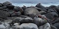 DSCF2119