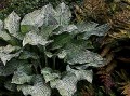 DSCN2853
