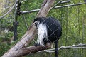 IMG 0026