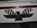 IMG 2231