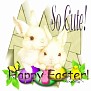 Ada 2whitebunnies sjm Cute