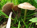 20090412 084