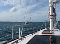 forward view