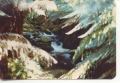 Tassie creek