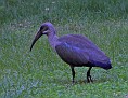 100_4577-1.jpg