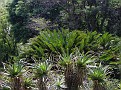 100_4590-1.jpg