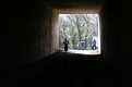 IMG 1453