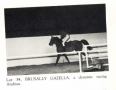 BRUSALLY GAZELLA #249838 (*Orzel++ x Brusally Zbruyna, by *Zbrucz) 1982 grey mare bred by Ed Tweed/ Brusally Ranch; produced 5 registered purebreds