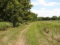 FayCoIaCemIllyriaTwpAndressOldPioneer2007f004