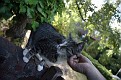 IMG 7885