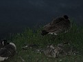 IMG 0069