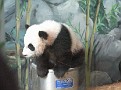 090401 ZooAtl 1512