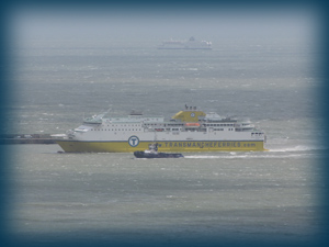 Cote d'Albatre