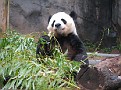 090401 ZooAtl 1133