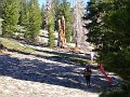 Lovely trails