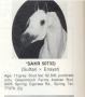 *SAKR+++ grey stallion (*Sultann x Enayat)
