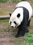 090401 ZooAtl 1476