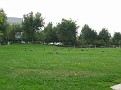 I Phone080209 019