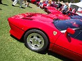 Picture 098.jpg