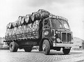 XSG 948