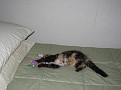 IMG 2692