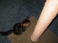 IMG 2694