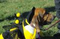 IMG00822f