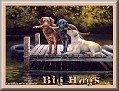 dogshavingfuntjcBig Hugs