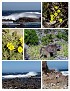 Cape of Good Hope_Page000.jpg