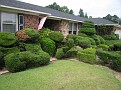 IMG_2161.jpg