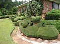 IMG 2162