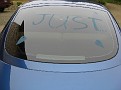 IMG 8936-vi