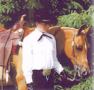 HASSAN AL HUSSEIN chestnut gelding (Specialist x Tuf Bebe, by Tufco)