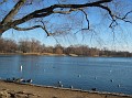 IMG 2344