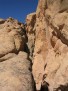 IMG 5142