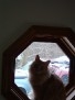 DSCF0005