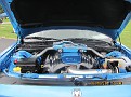 IMG_1853.JPG