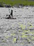 DSCF0013