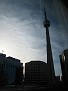 IMG 8570