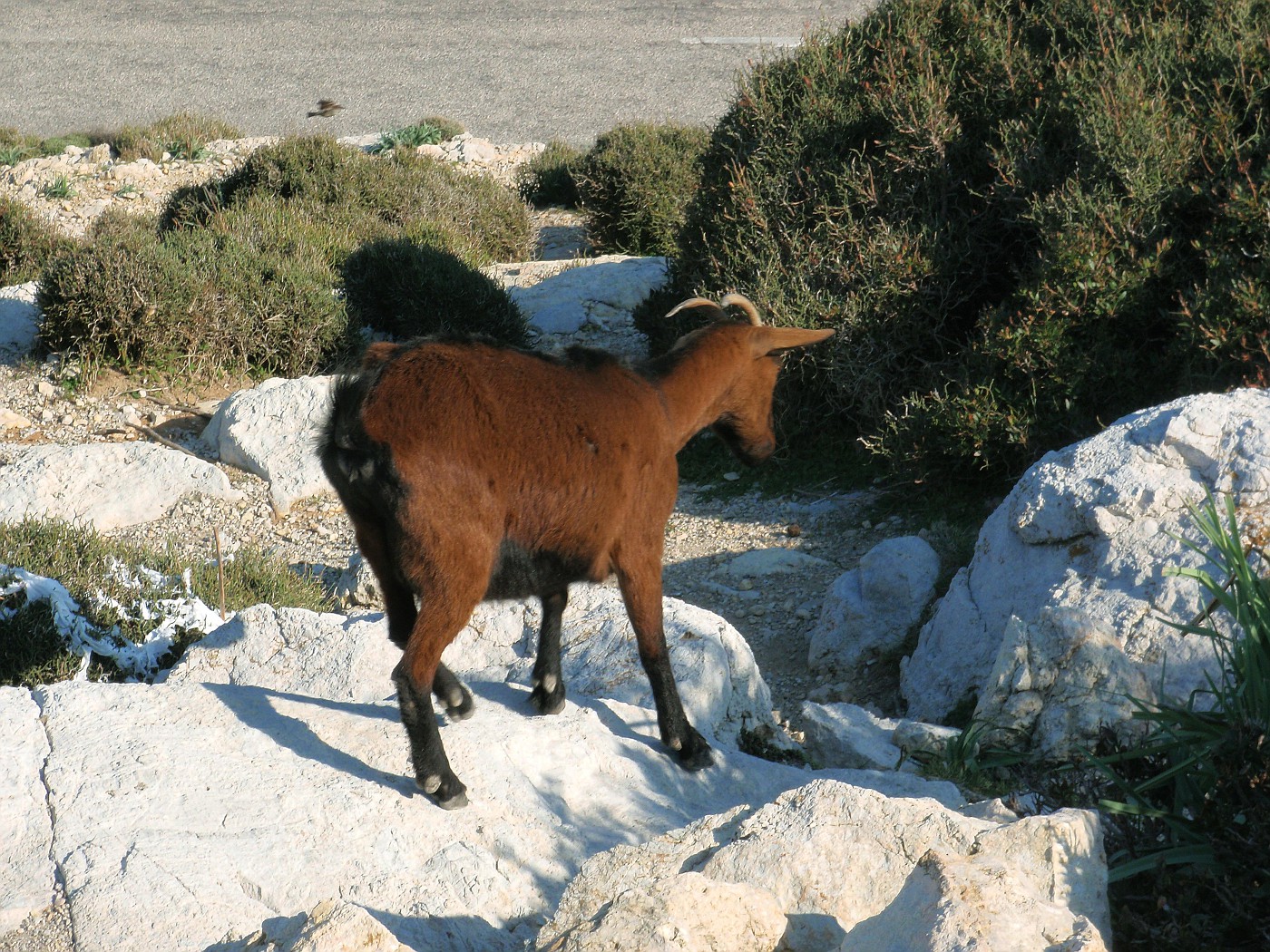 Cap de Formentor