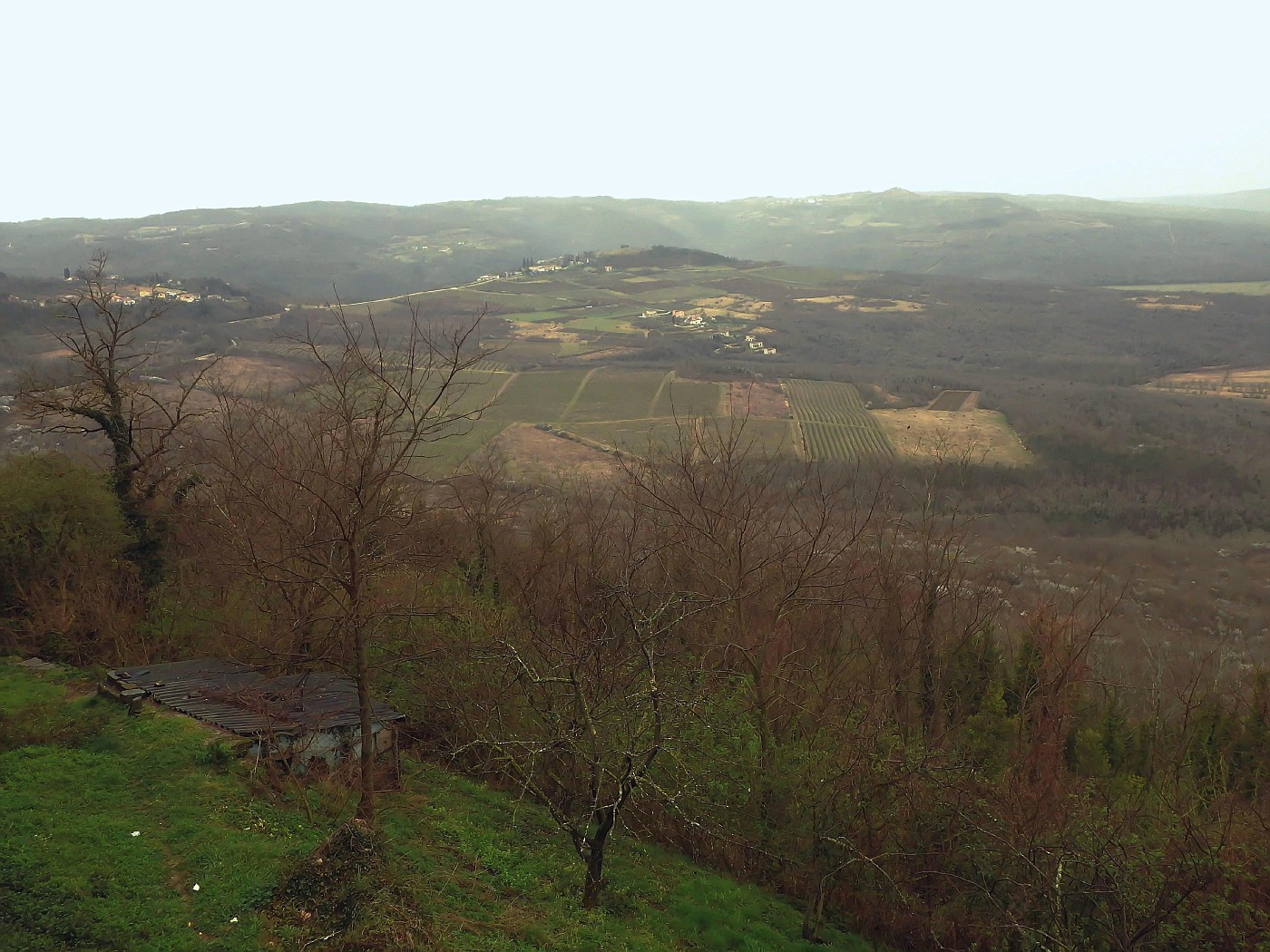 Blick von Motovun