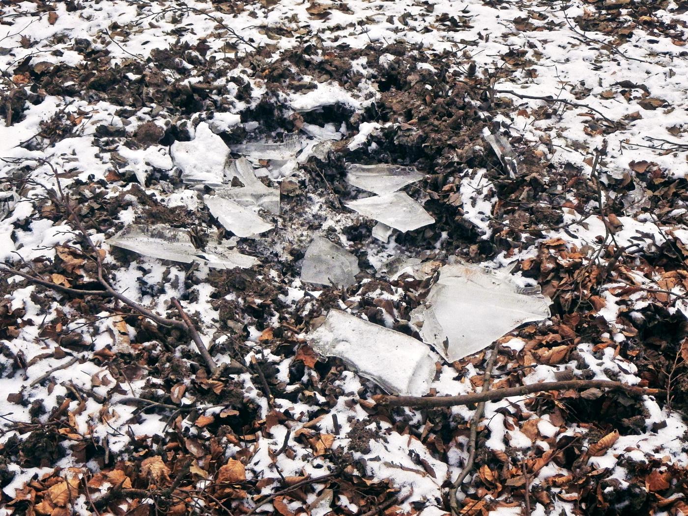 Die Badewanne der Wildscheine ist eingefroren.