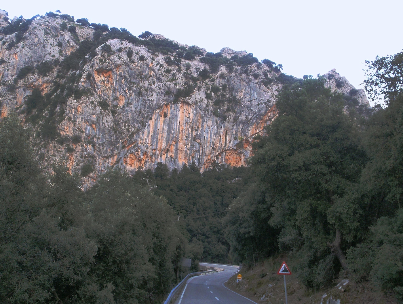 Coll de Femenia