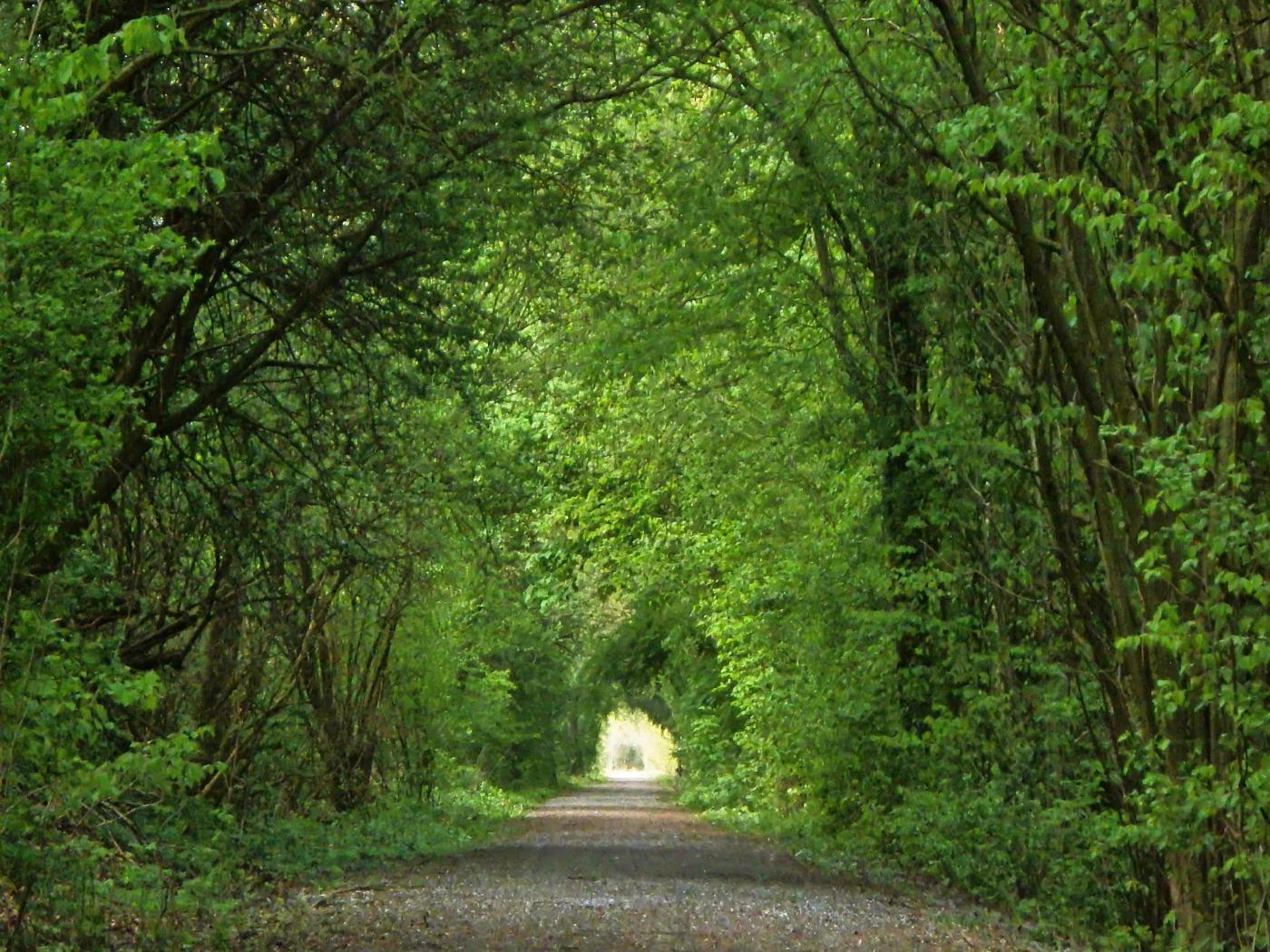 Tunnel