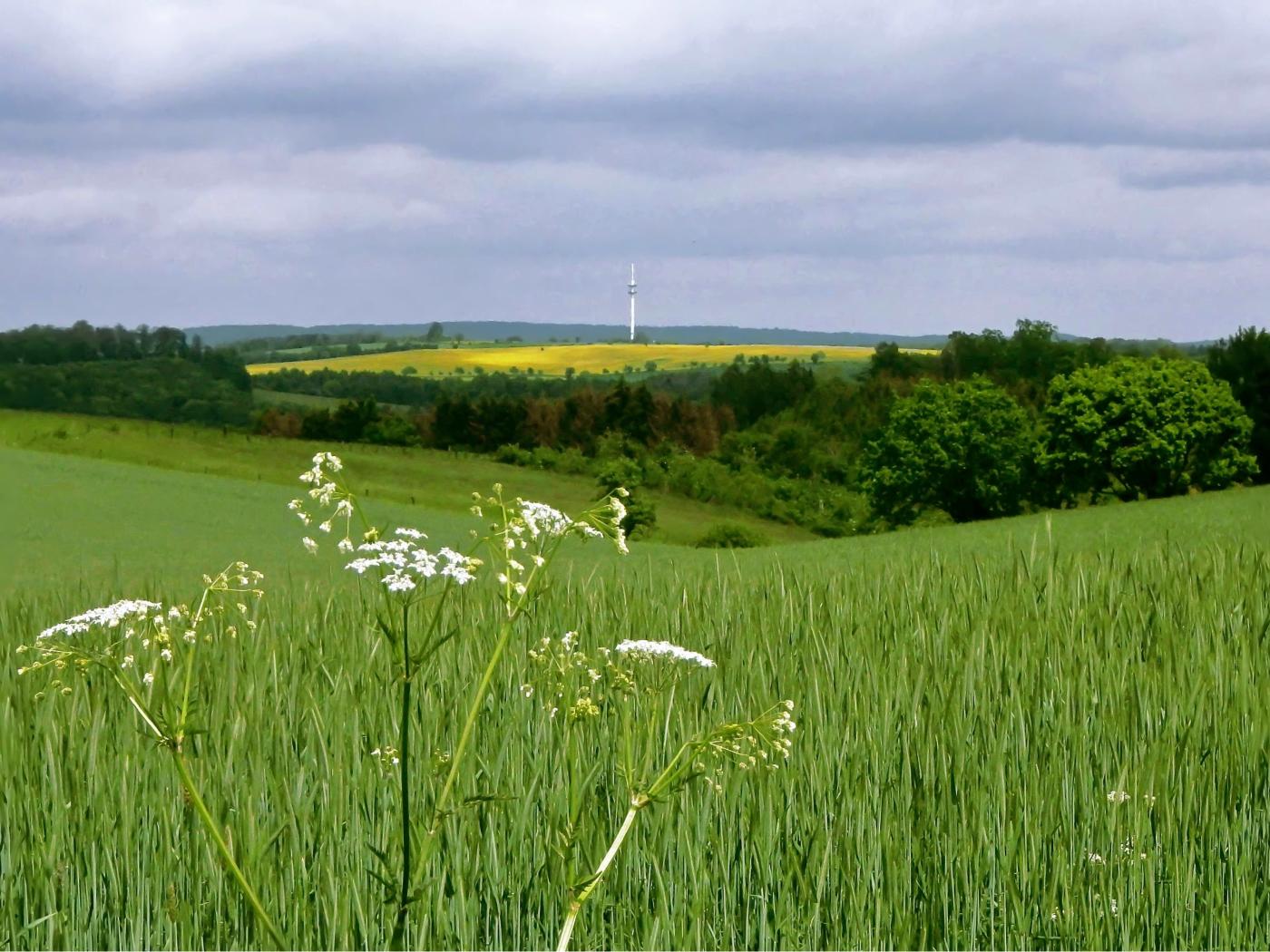 Blick zum Hagen