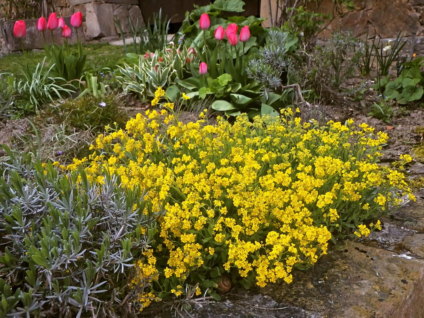 Im Schlossgarten