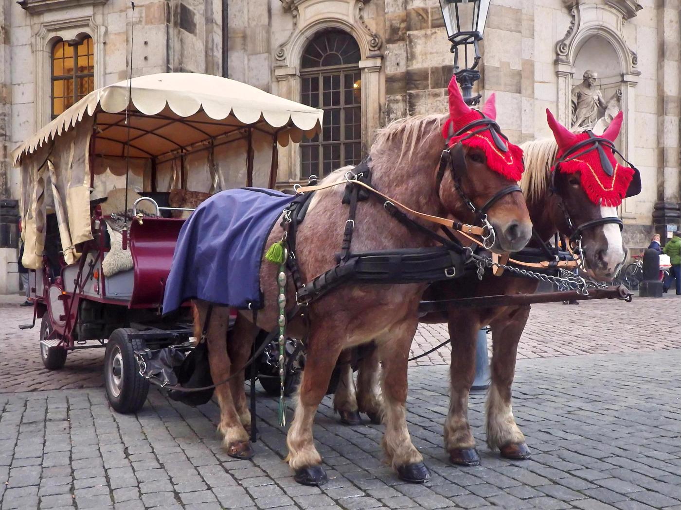 Pfuhrwerk auf dem Schlossplatz