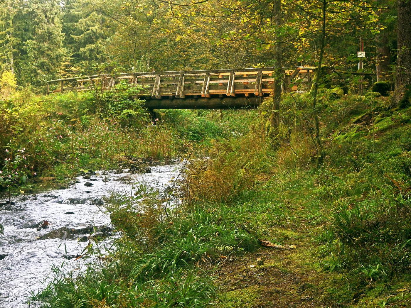 Brücke über den Spiegeltalbach