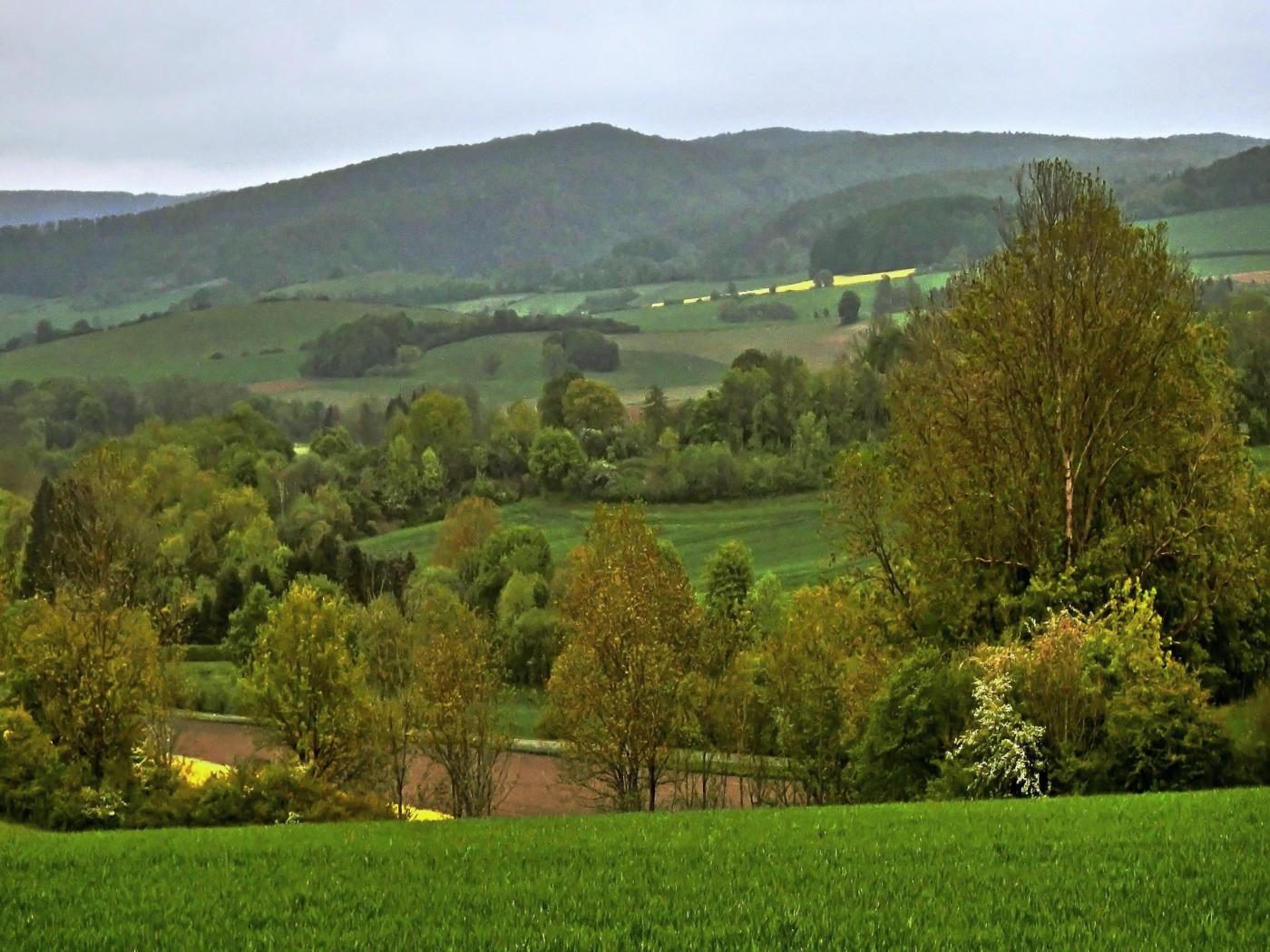 Blick zum Barntruper Forst