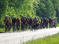 Peloton